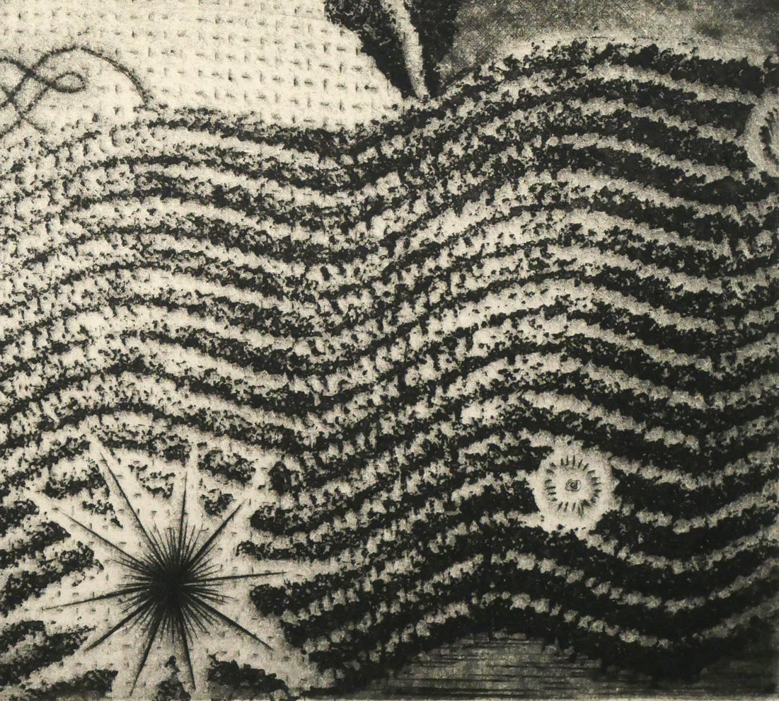 駒井哲郎「海底の祭」メゾチント、ソフトグランド・エッチング（銅版画）　拡大画像6