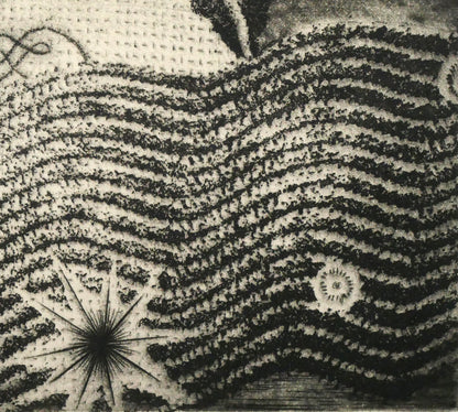 駒井哲郎「海底の祭」メゾチント、ソフトグランド・エッチング（銅版画）　拡大画像6