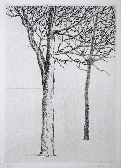 駒井哲郎「二樹」エッチング（銅版画）　作品全体拡大画像