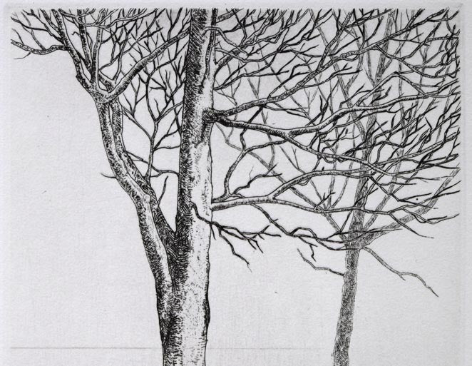 駒井哲郎「二樹」エッチング（銅版画）　拡大画像1