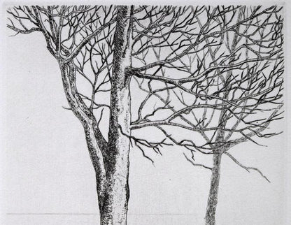 駒井哲郎「二樹」エッチング（銅版画）　拡大画像1