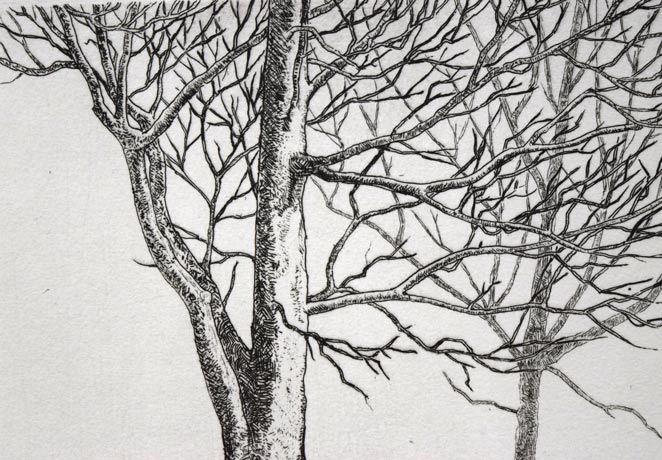 駒井哲郎「二樹」エッチング（銅版画）　拡大画像2
