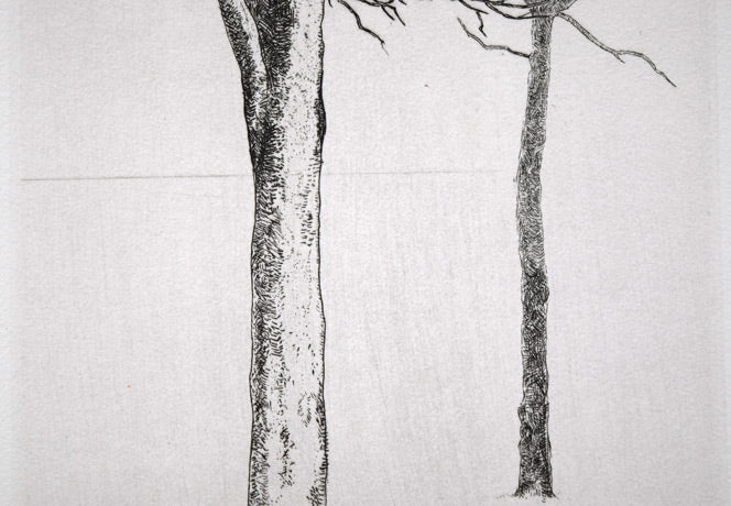 駒井哲郎「二樹」エッチング（銅版画）　拡大画像4
