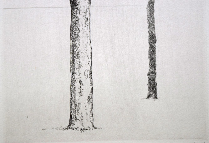 駒井哲郎「二樹」エッチング（銅版画）　拡大画像5