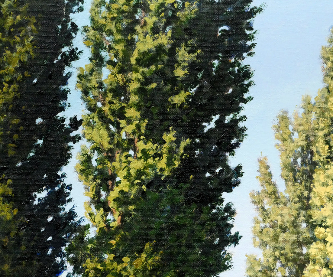 近藤博史「ポプラ並木（北海道大学）」油絵・F8号 絵画買取・販売の