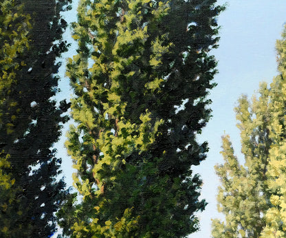 近藤博史「ポプラ並木（北海道大学）」油絵・F8号　拡大画像1