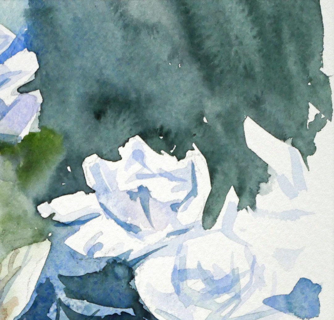国井しゅうめい「白いバラ」水彩画（21×19cm）　拡大画像2