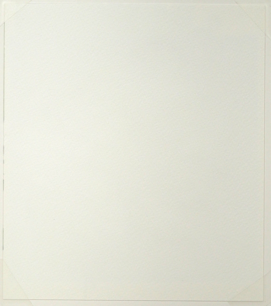 国井しゅうめい「白いバラ」水彩画（21×19cm）　作品裏側画像