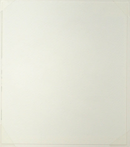国井しゅうめい「白いバラ」水彩画（21×19cm）　作品裏側画像