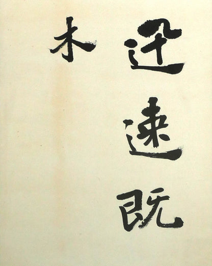 桑原　翠邦（別号：魚目）「運謝星馳　時流迅速　既彫桐枝　復摧良木（張黒女墓誌）」肉筆書額装　拡大画像3