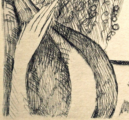 マリー　ローランサン（Marie　Laurencin）「エアの尼僧院長」エッチング（銅版画）　拡大画像3