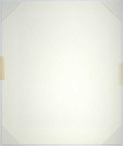 レスリー　セイヤー（Leslie　SAYOUR）「ブルーリボンベイス」シルクスクリーン版画　作品シート裏側画像