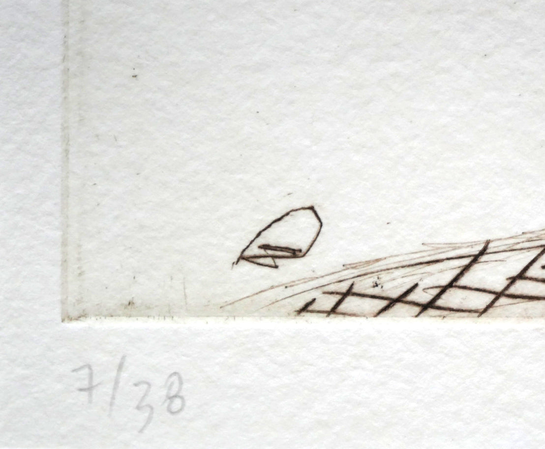 ハビエル　マリスカル（JAVIER　MARISCAL）「ラクダのいる風景」銅版画　限定番号（ed,7/38）