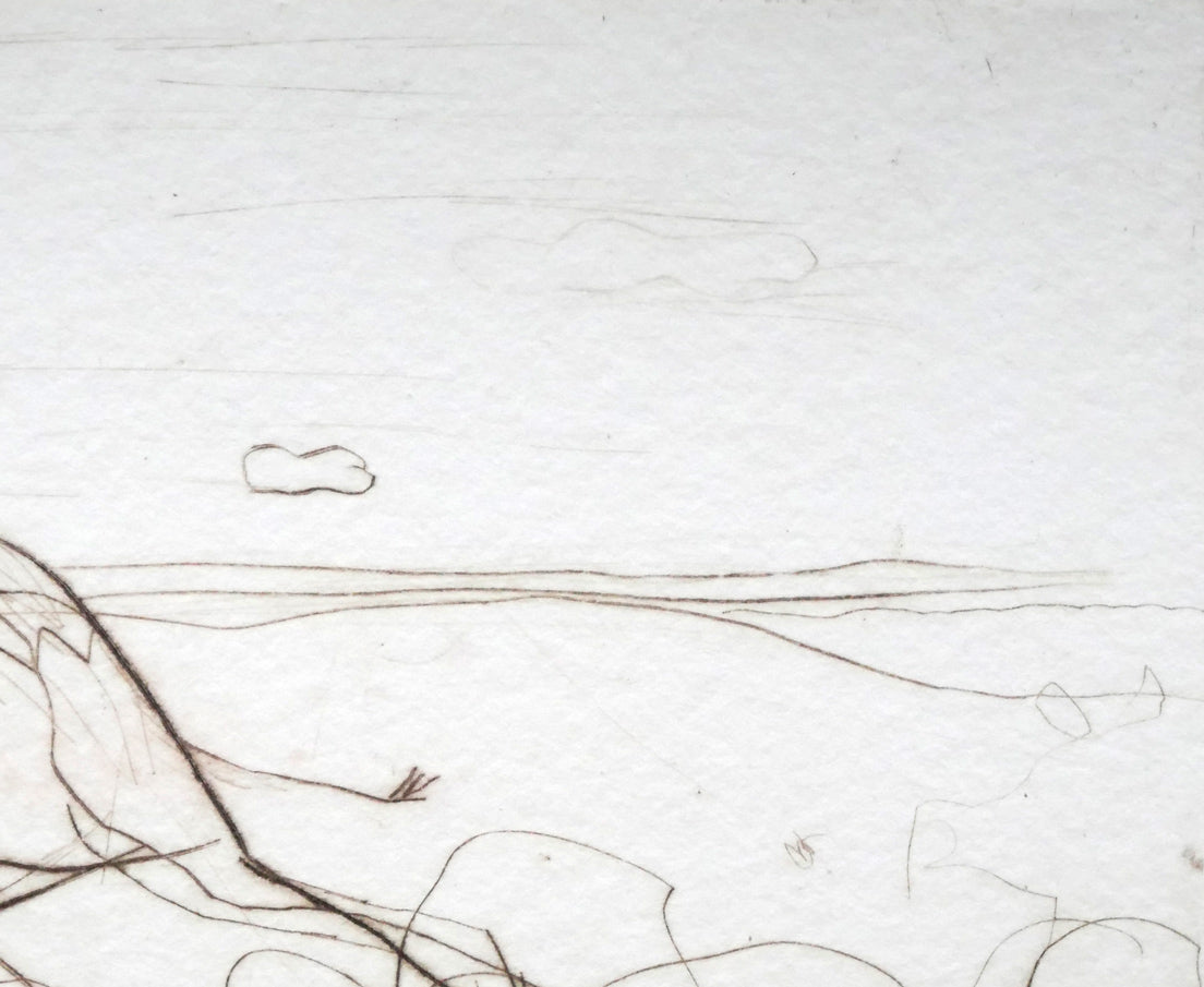ハビエル　マリスカル（JAVIER　MARISCAL）「ラクダのいる風景」エッチング（銅版画）　拡大画像2