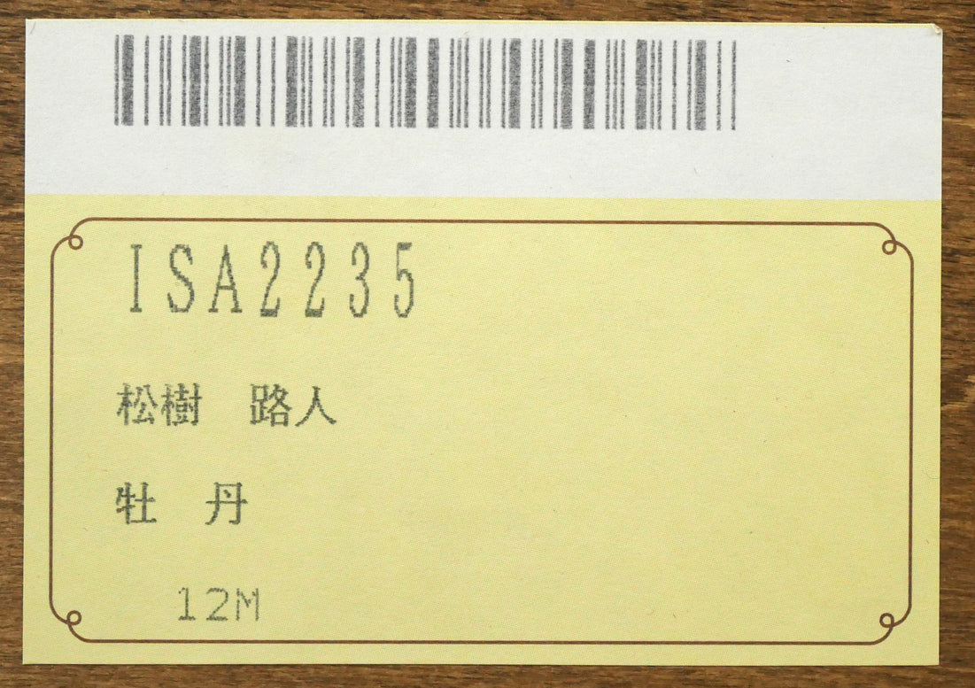 松樹路人「牡丹」油絵・M12号　額裏シール拡大画像