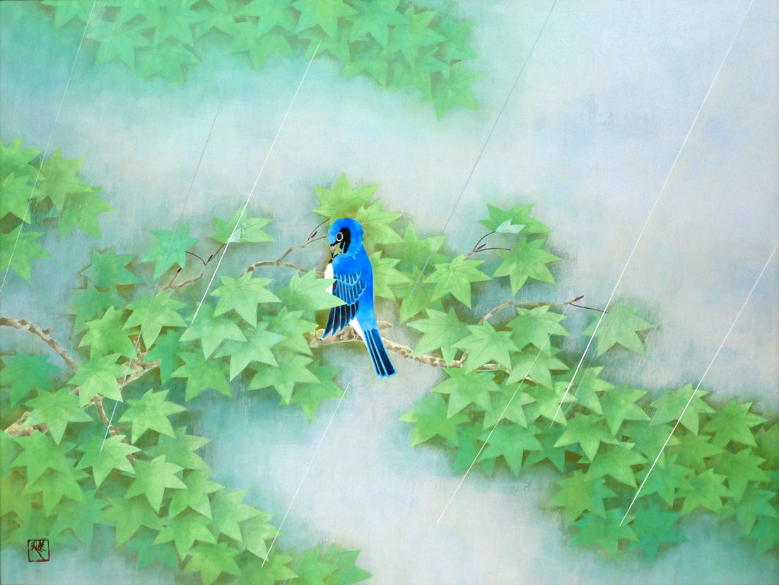 松本進「雨（オオルリ）」日本画・P12号　作品全体画像