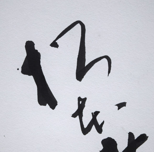 九代目松本幸四郎（元：二代目松本白鸚）直筆サイン色紙　拡大画像1