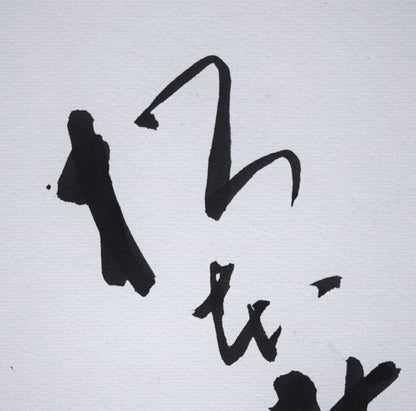 九代目松本幸四郎（元：二代目松本白鸚）直筆サイン色紙　拡大画像1
