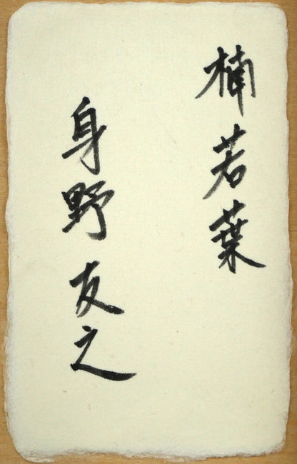 身野友之「楠若葉（京都・青蓮院）」油絵・M20号　裏側拡大画像（共シール）