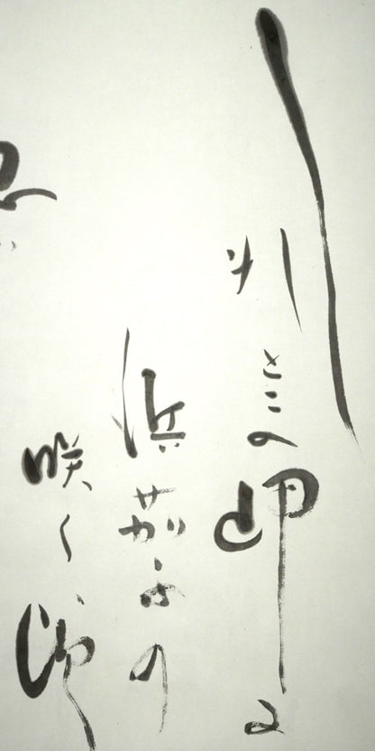 森繁久彌「しれとこ旅情」肉筆書掛軸・共箱　拡大画像1（しれとこの岬に　浜茄子の咲く頃）