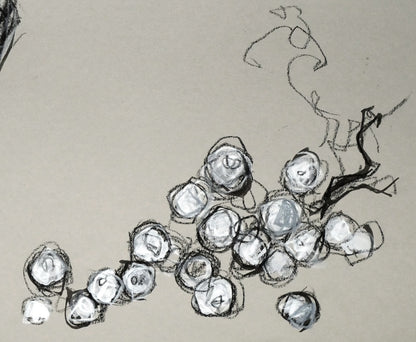 長崎晃子「ぶどうとグラス」パステル画・5号　拡大画像3