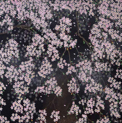 中島千波「桜花春宵」リトグラフ　拡大画像2