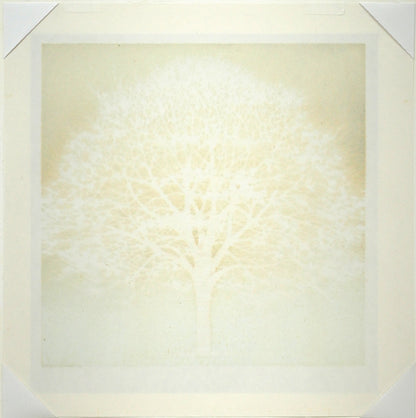 並木一「Tree　Scene　32」木版画　作品シート裏側画像