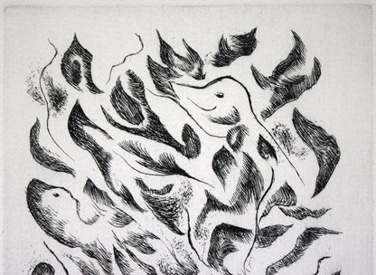 難波田龍起「生物苑」銅版画　拡大画像1