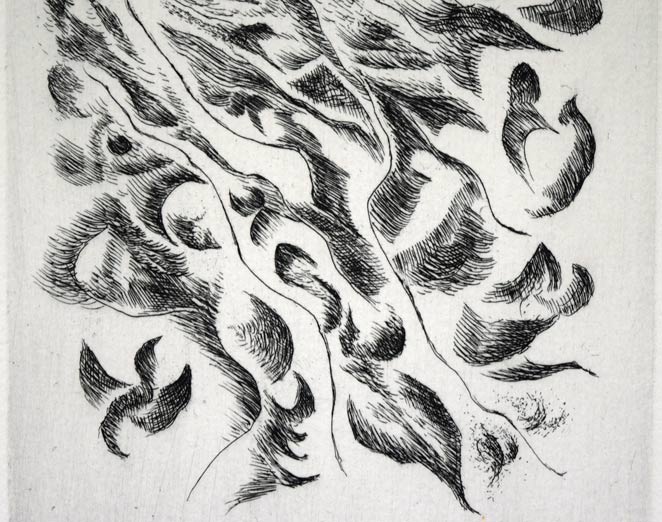 難波田龍起「生物苑」銅版画　拡大画像2