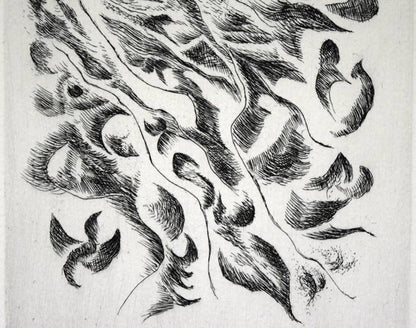 難波田龍起「生物苑」銅版画　拡大画像2