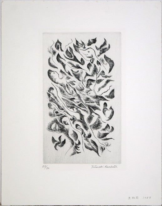 難波田龍起「生物苑」銅版画　作品シート全体画像