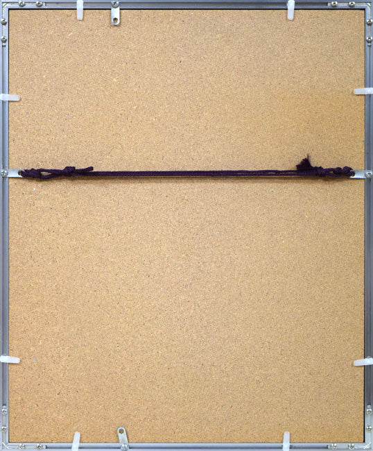 難波田龍起「生物苑」銅版画　額縁裏側画像