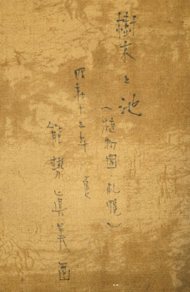 能勢真美「樹木と池（植物園・札幌）」油絵・M15号　裏書き拡大画像