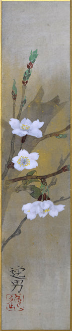 大野逸男「桜」日本画・短冊額装　作品全体拡大画像