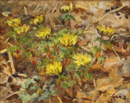 大月源二「福寿草」油絵・F3号　作品全体画像