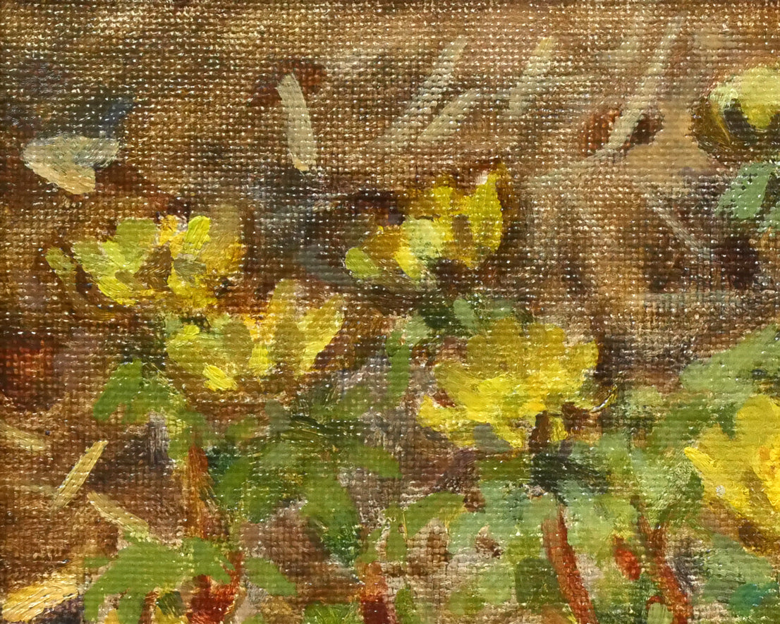 大月源二「福寿草」油絵・F3号　拡大画像1