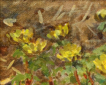 大月源二「福寿草」油絵・F3号　拡大画像1