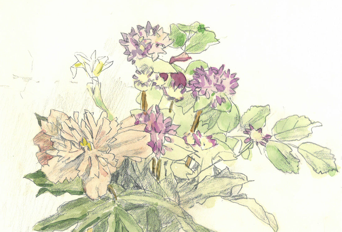 大月源二「札病棟415号室にて・花（画集掲載作）」水彩画・5号　拡大画像1