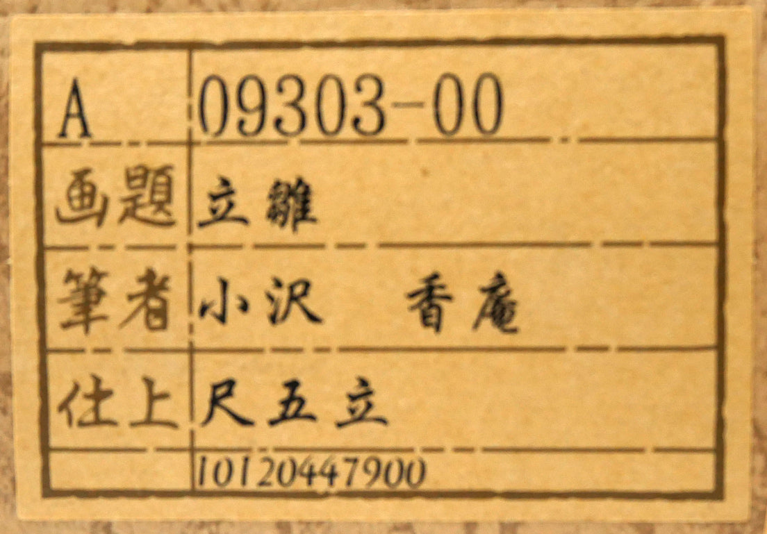 小沢香庵「立雛」彩色画絹本・掛軸尺五立・共箱　タトウ紙シール画像