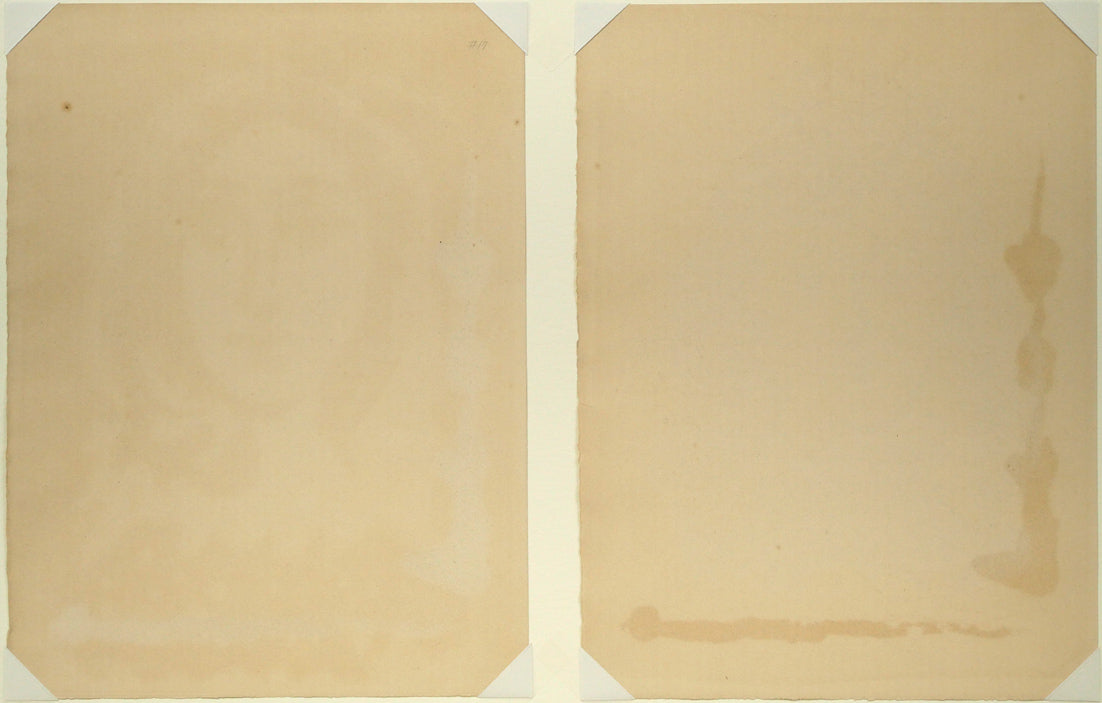 パブロ　ピカソ（PICASSO）「『ゴンゴラ20の詩』より（2点1組額装）」銅版画　作品シート裏側画像