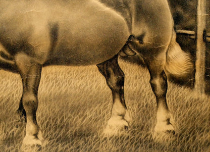 露山（畠中清喜）「馬二頭」木炭画・水墨・10号大　拡大画像6