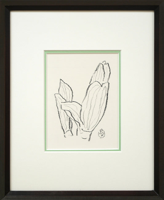 坂本直行「ばんけい草」黒コンテ画（17.5×12.8cm）