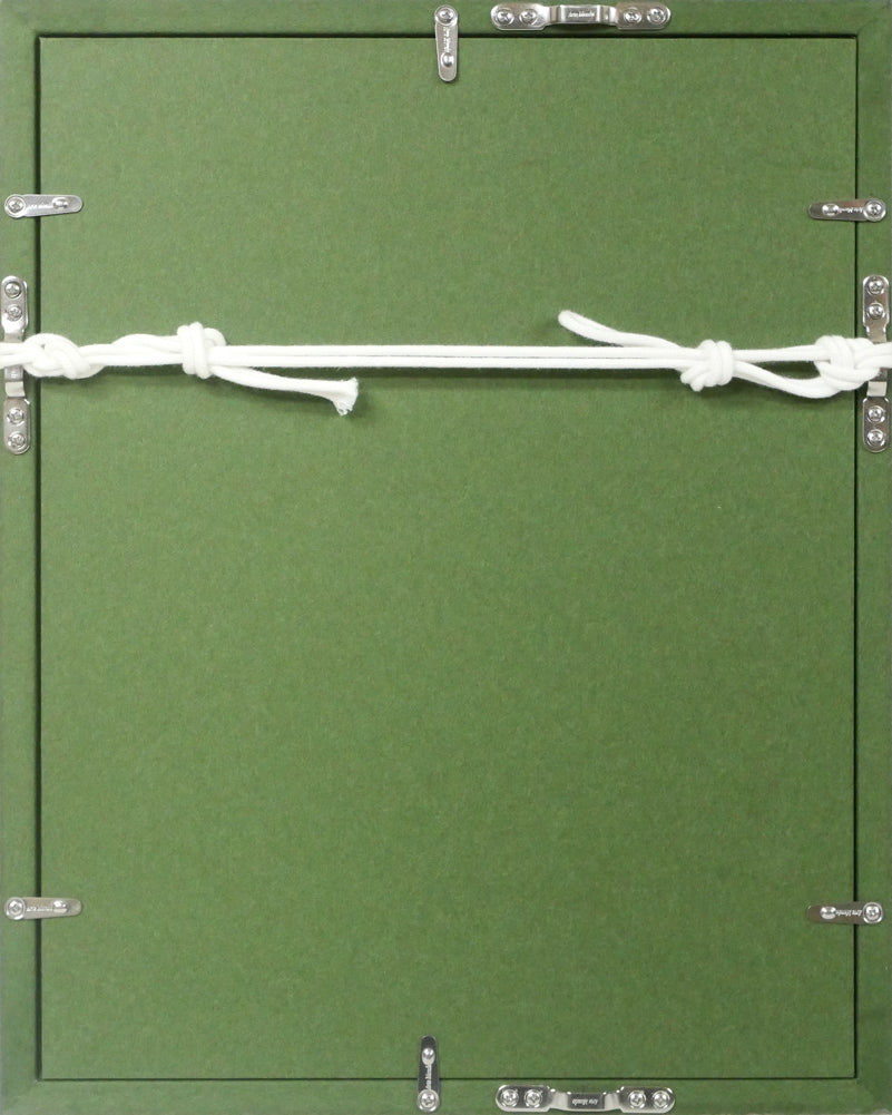 坂本直行「朝鮮五味子」水彩画・SM　額縁裏側画像