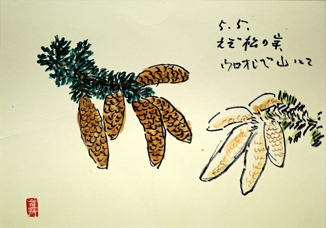 坂本直行「えぞ松の実（十勝岳温泉ウロオシベ山にて）」水彩画・4号　作品全体画像