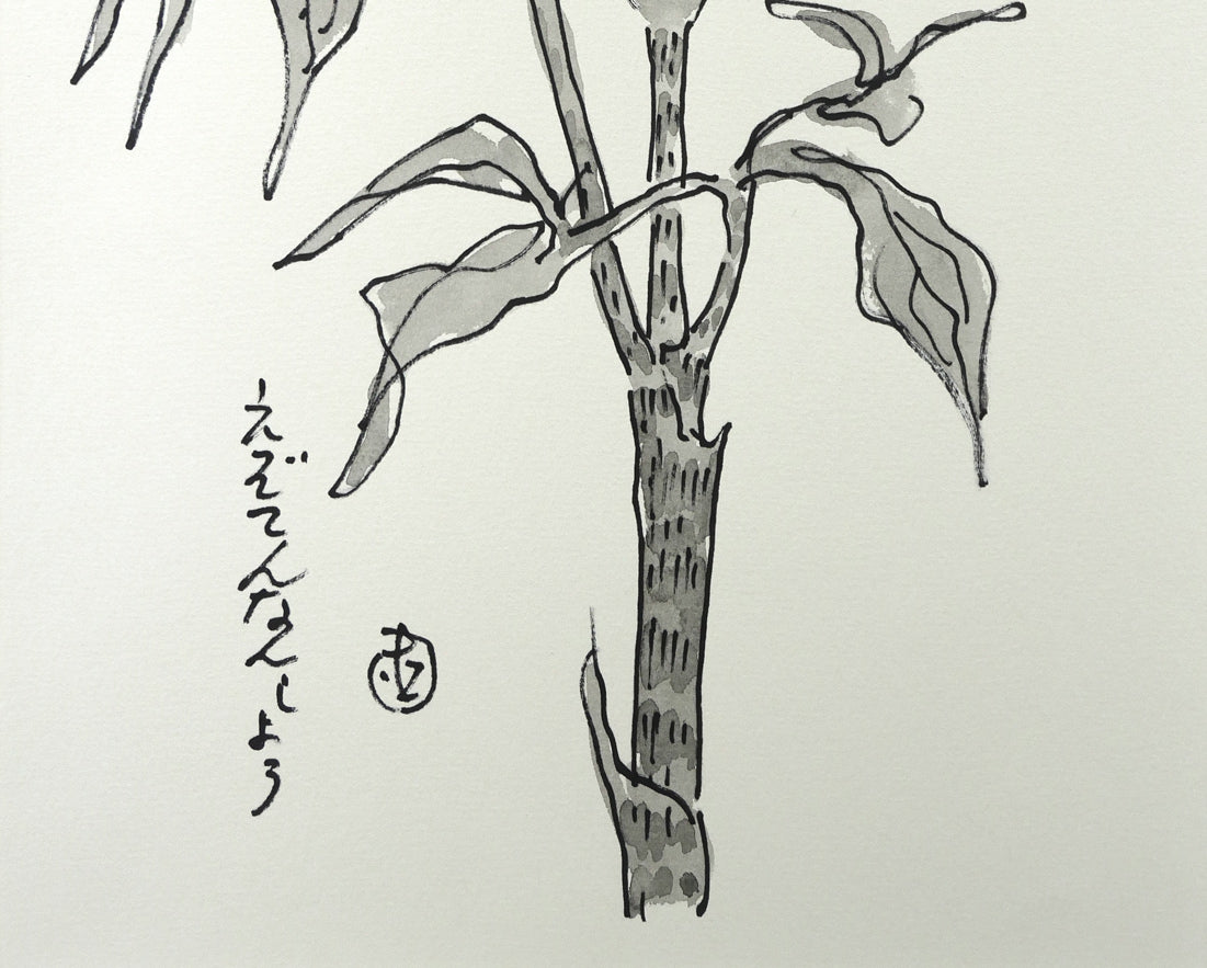 坂本直行「えぞてんなんしょう」水彩画・4号　拡大画像3