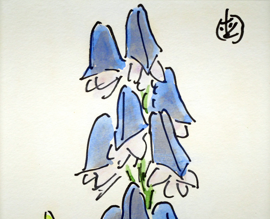 坂本直行「えぞとりかぶと」水彩画・SM　拡大画像1
