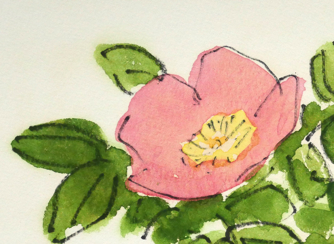 坂本直行「はまなし」水彩画・SM　拡大画像1