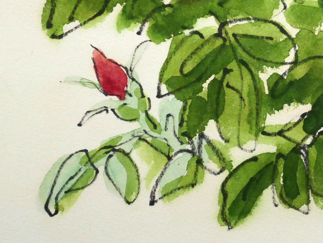坂本直行「はまなし」水彩画・SM　拡大画像3