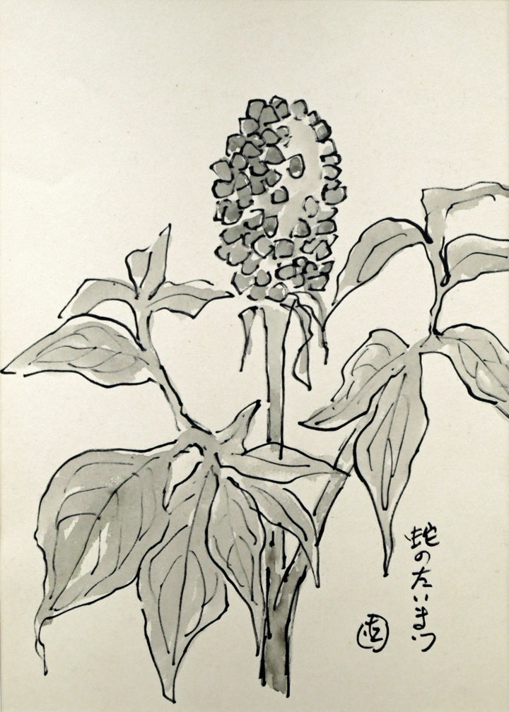 坂本直行「蛇のたいまつ」水彩画・3号　作品全体画像
