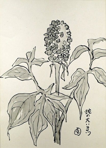 坂本直行「蛇のたいまつ」水彩画・3号　作品全体画像